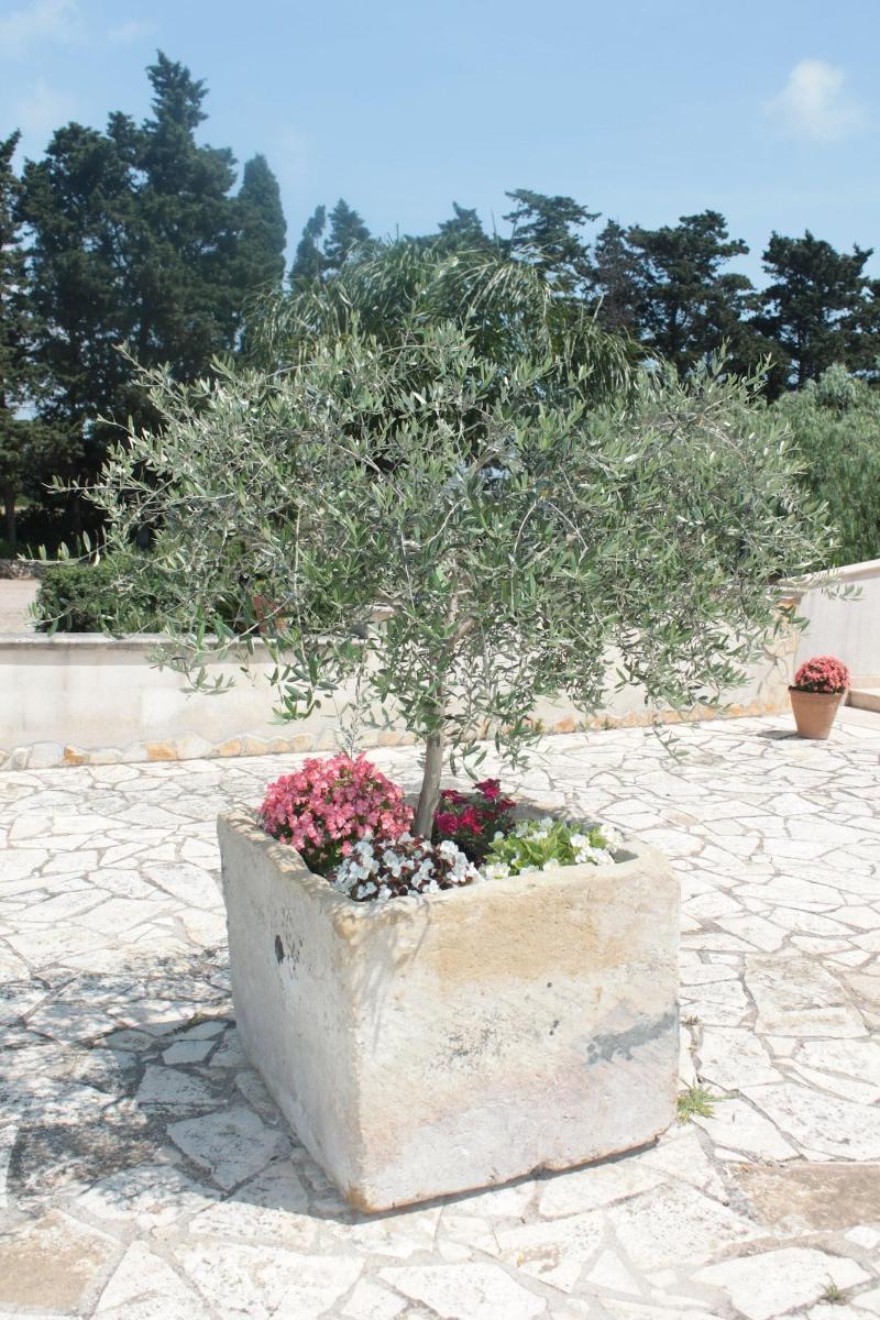 أوترانتو Tenuta Turchi المظهر الخارجي الصورة