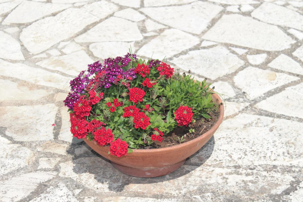 أوترانتو Tenuta Turchi المظهر الخارجي الصورة